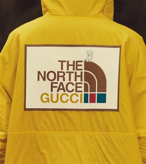 chaleco gucci north face|gucci north face icon.